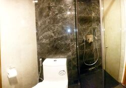 Spottiswoode Suites (D2), Apartment #525289161